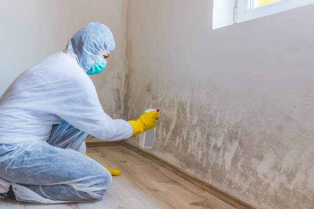 Licensed Commercial Mold Remediation service in Natick, MA - WQB Mold Removal