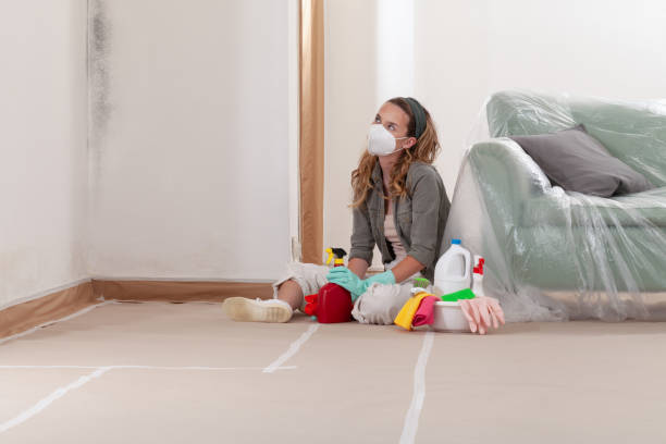 Reliable Commercial Mold Remediation contractor in Natick, MA by WQB Mold Removal